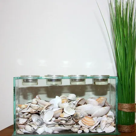 Doppelhaushaelfte Ostseehaus I In 트라센하이드